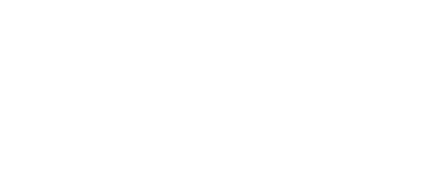 v-logo