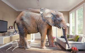 בואו נדבר על הפיל שבחדר - בעיות זיקפה אצל גברים