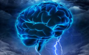 תפקיד המוח במנגנון הזיקפה