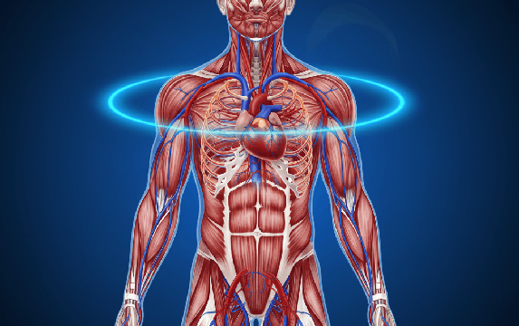 שיפור כוח הגברא
