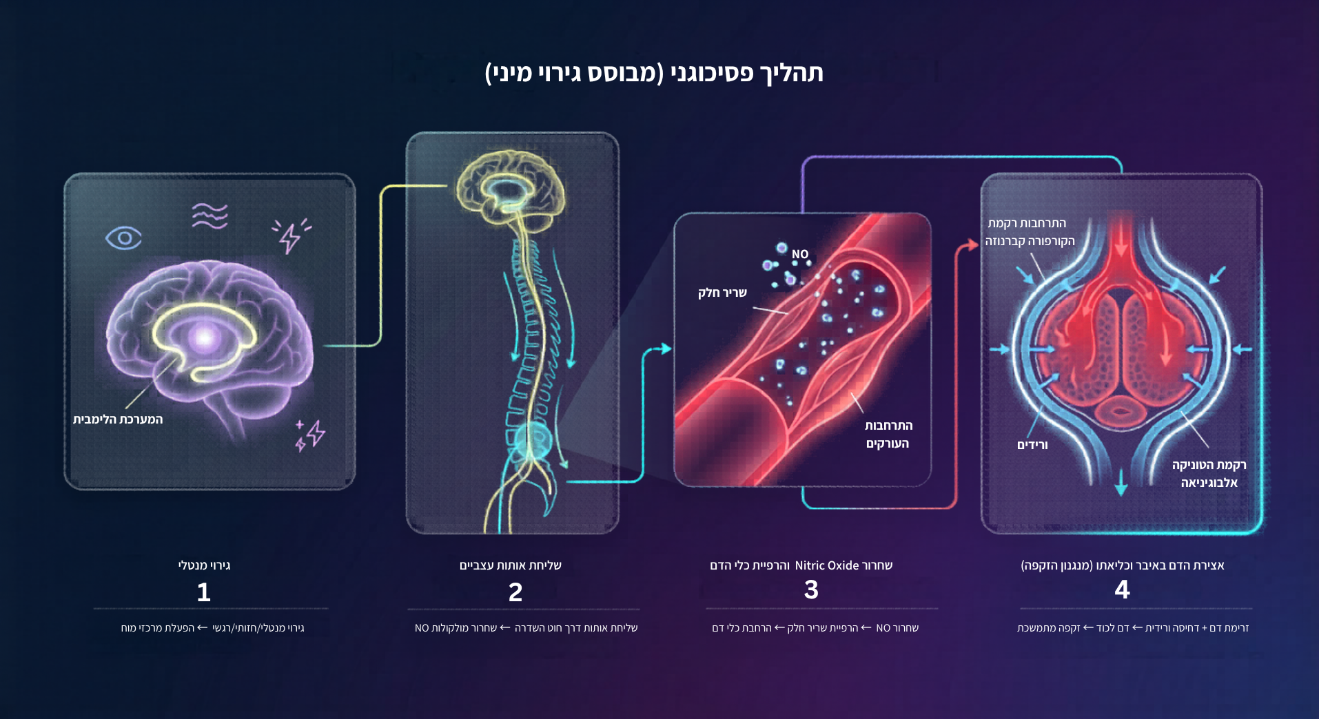 גירוי מנטלי להופעת זקפה