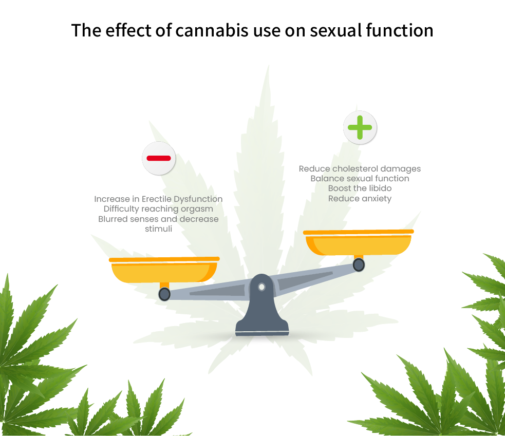 Cannabis and Erectile Dysfunction