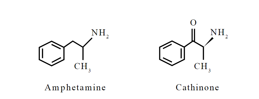The structural similarity between cathinone and amphetamine 
