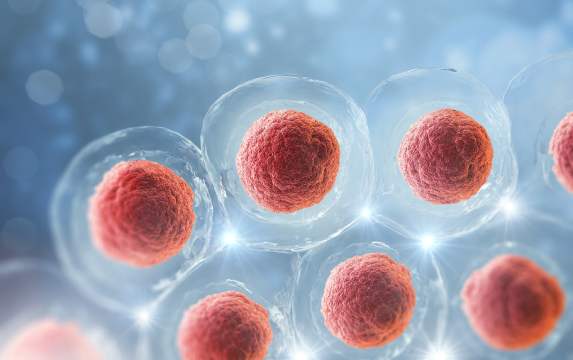 Stem Cell Therapy and erectile dysfunction